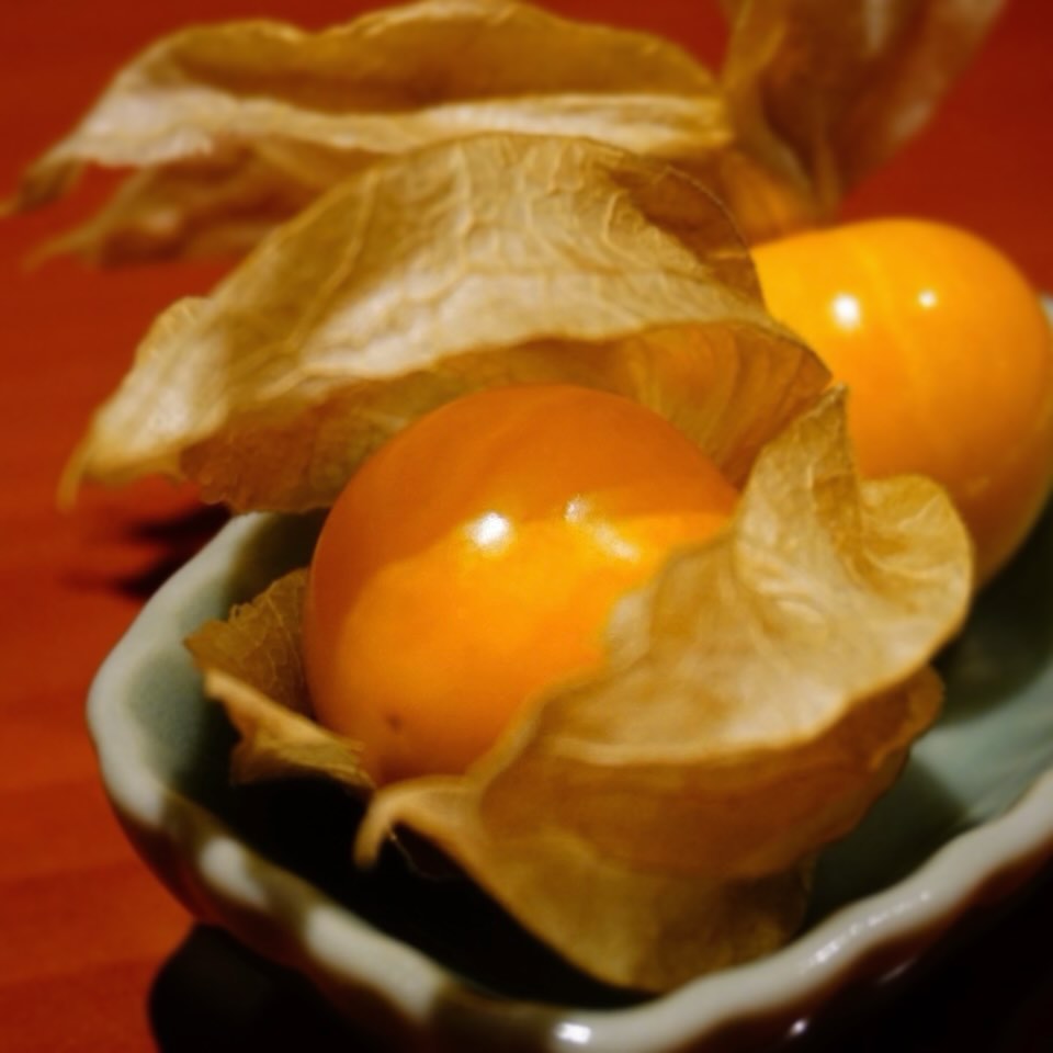 鬼灯