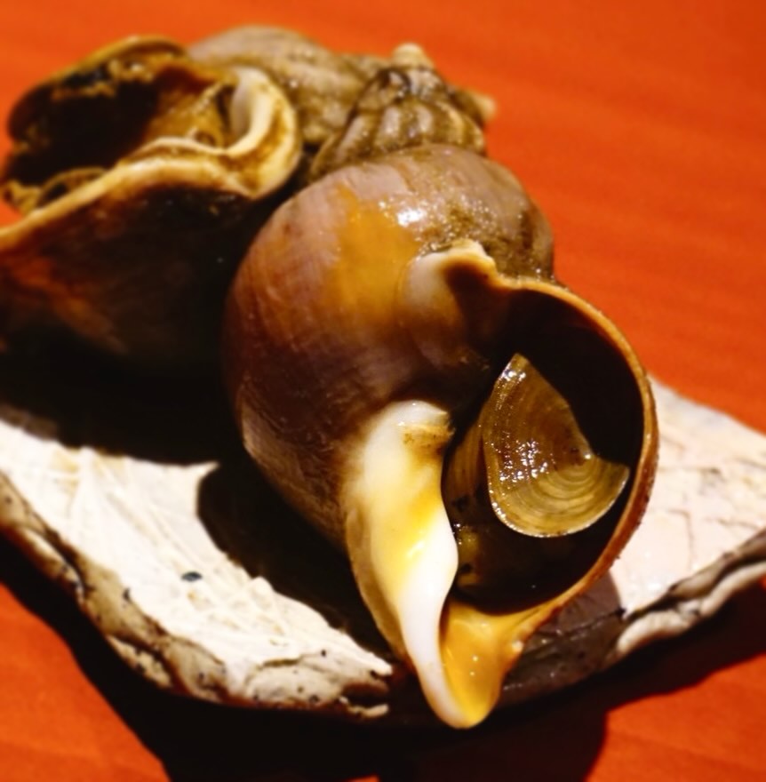 ばい貝の旨煮